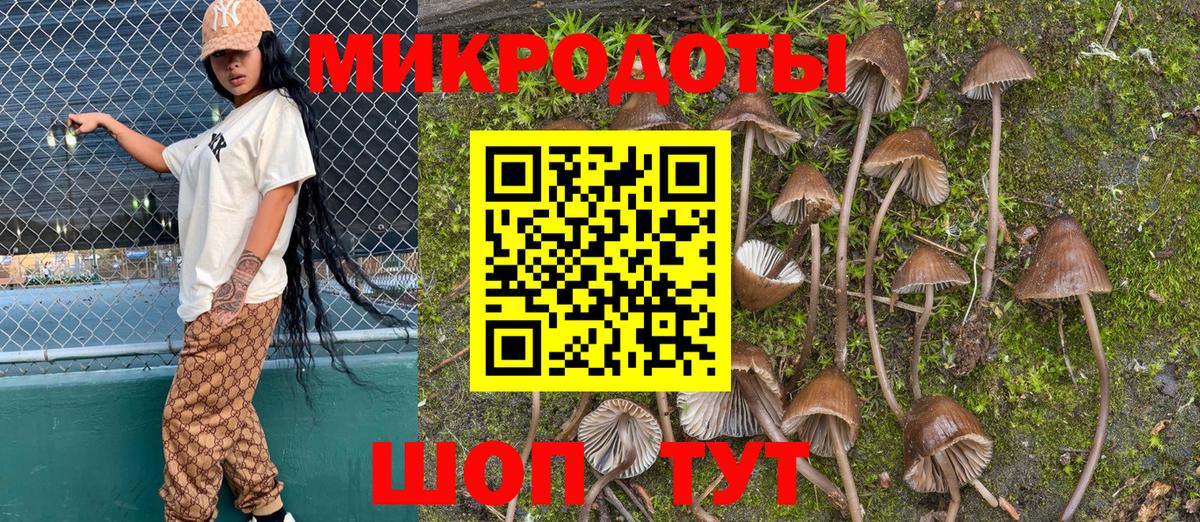 Псилоцибиновые грибы Psilocybine cubensis Выкса