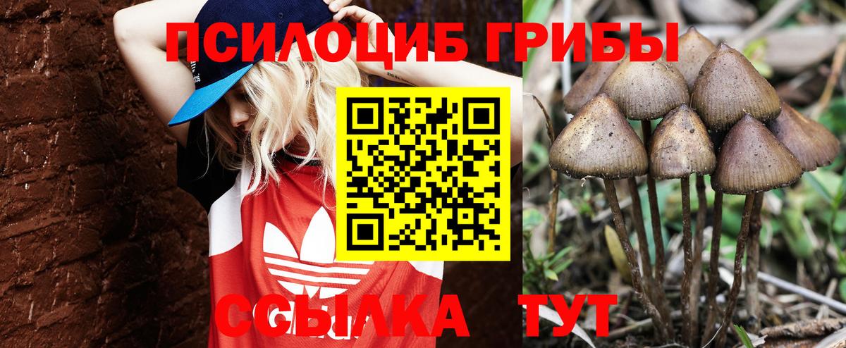 Псилоцибиновые грибы MAGIC MUSHROOMS  Вход с VPN  Выкса  Галлюциногенные грибы ЛСД 